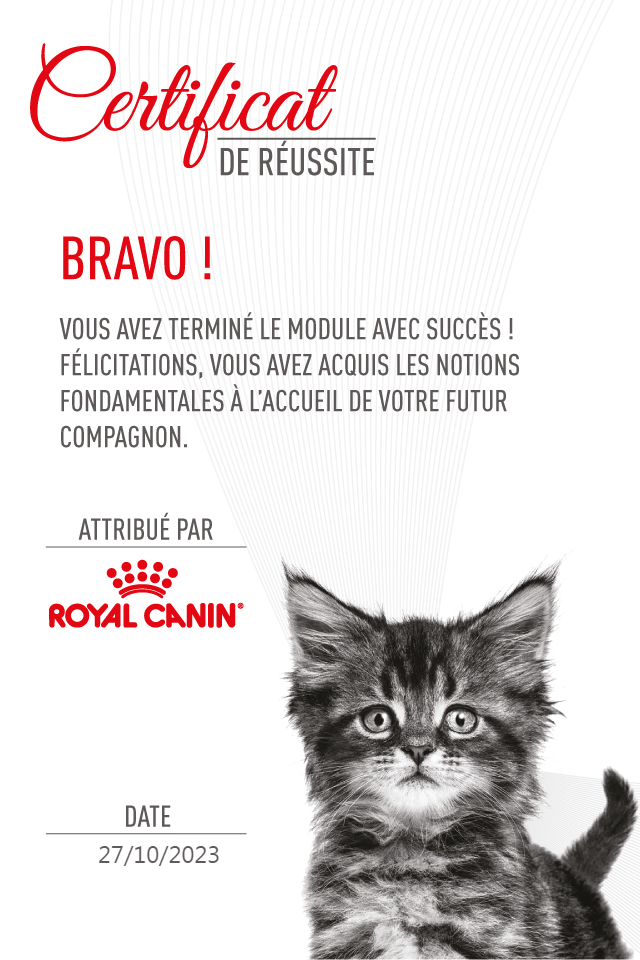 chat Adoption - Certificat
