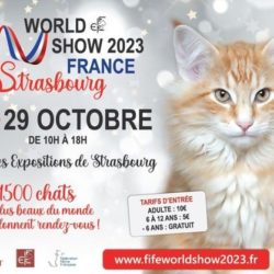 Le week-end du 28 et 29 octobre 2023, Strasbourg accueille le plus grand et le plus prestigieux événement félin au monde : le World show de la Fédération internationale féline (Fife).
