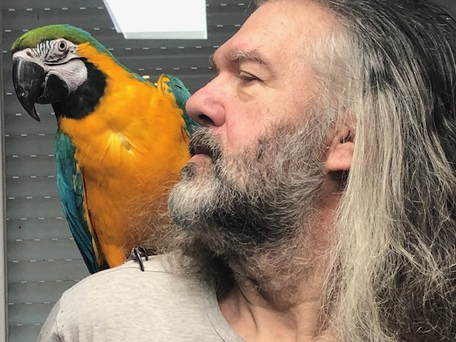 Bertrand et Salsa
