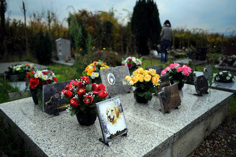 La ville de Carrières-sous-Poissy, dans les Yvelines, a créé un cimetière animalier, le premier du département, pour permettre aux habitants de faire le deuil de leur animal de compagnie.