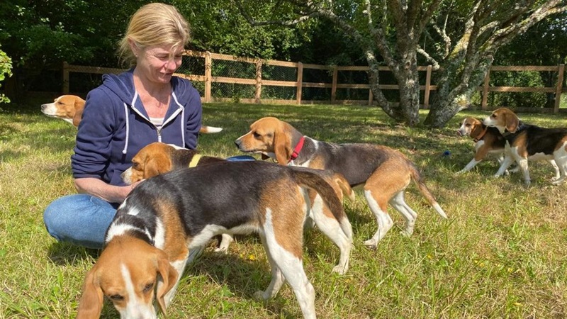 Virginie a toujours aimé les animaux, surtout les chiens. Elle a grandi avec un beagle nommé Snoopy, qui était son meilleur ami.