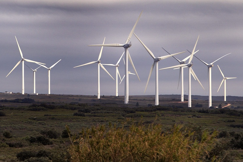 Le parc éolien d'Aumelas Un jugement historique pour la protection des espèces menacées