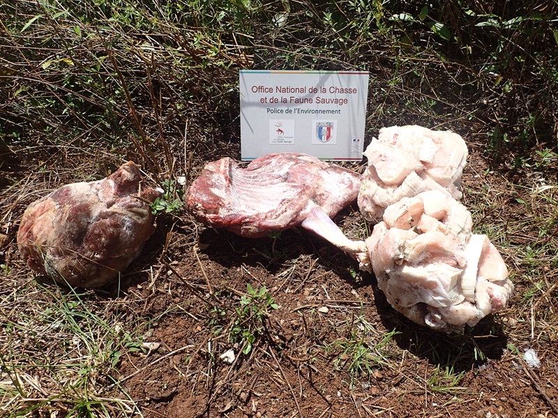 Réseau de Vente Illégale de Viande d’Animaux Protégés en Guyane