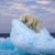 L’Impact du Changement Climatique sur Certaines Espèces Animales