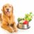 Les Nouvelles Tendances en Alimentation Animale Cru, Végétarien, Bio… Que Choisir