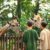 Les zoos modernes simples prisons ou sanctuaires éducatifs
