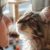 Quand les chats nous reniflent