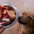 Faut-il passer au BARF Avantages et risques de cette alimentation naturelle pour chiens