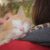 Les 10 signaux que votre chat vous aime