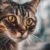 Pourquoi mon chat me fixe-t-il autant Décryptage d’un comportement félin