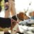 Pourquoi mon chien me suit-il partout