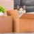 Préparer son chat à un voyage ou un déménagement conseils pour un changement en douceur