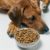 Suppléments alimentaires pour animaux utiles ou simples arguments marketing