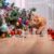 Les dangers de Noël pour votre chat (et comment les éviter)
