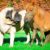 Tout savoir sur le Mastiff Anglais le colosse au cœur tendre