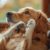 10 idées pour dépenser votre chien mentalement (et l’apaiser sans courir !)