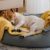 Aménager son intérieur pour un chien heureux conseils et bonnes pratiques