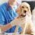 Guide complet sur la vaccination des animaux de compagnie