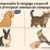 Comprendre le langage corporel des animaux de compagnie