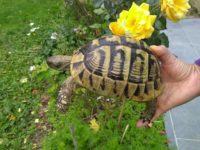 IMG_20190930_170028298