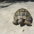 IMG_5181 IMG_5181