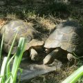 IMG_5067 IMG_5067