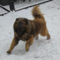 IMG_2091 IMG_2091