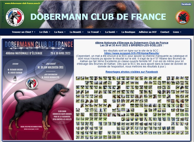 Dobermann Club de France