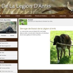 Elevage de Barzoi de la Légion d’Antis