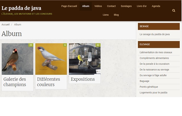 Le Padda de Java