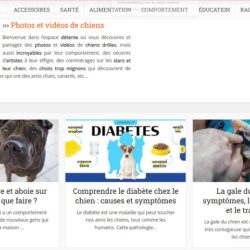 Le blog canin