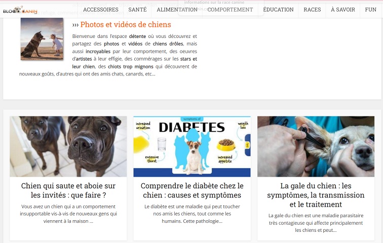 Le blog canin