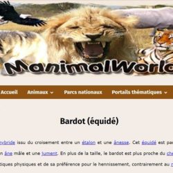 Manimalworld Ane Bardot