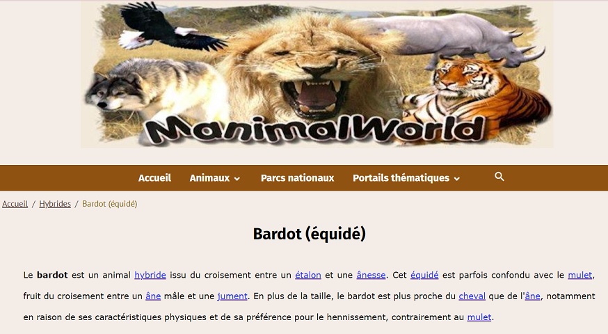 Manimalworld Ane Bardot