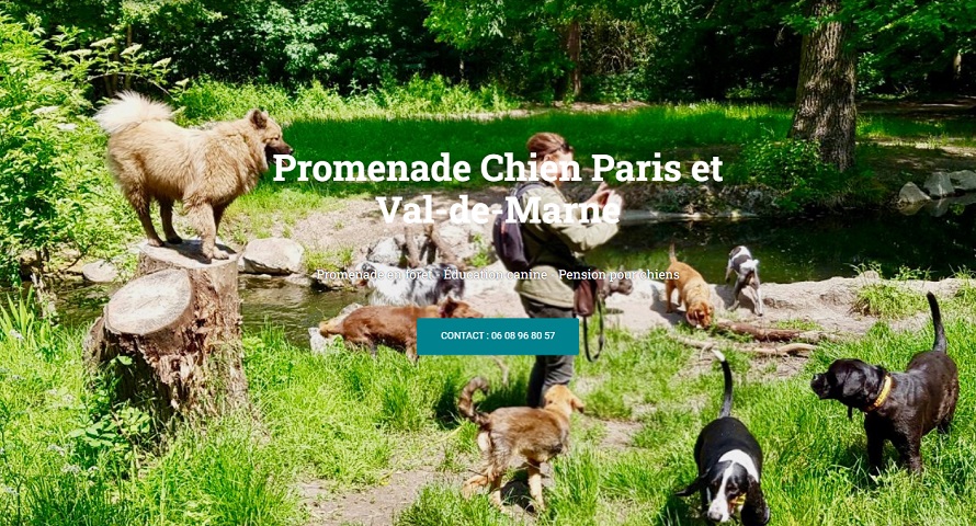 Promenade Chien Paris et Val-de-Marne