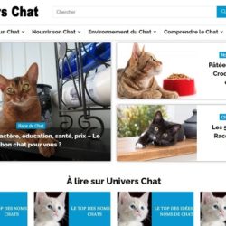 Univers-du-chat