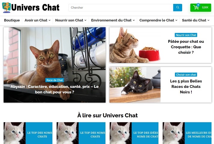 Univers-du-chat