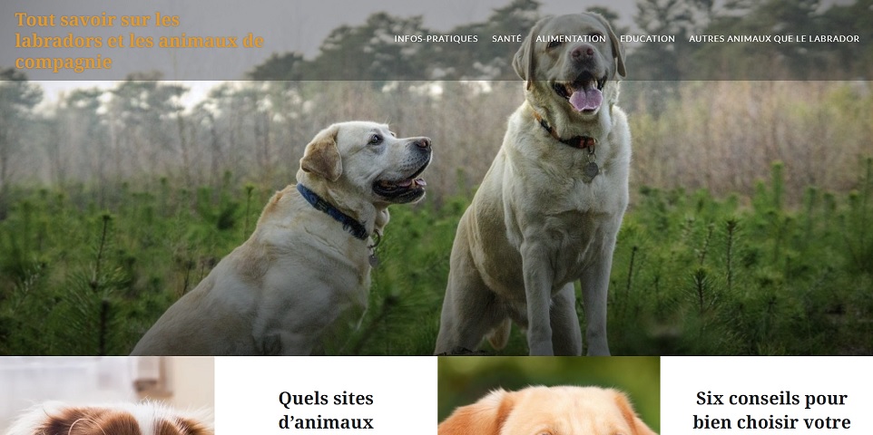 les-labradors.fr