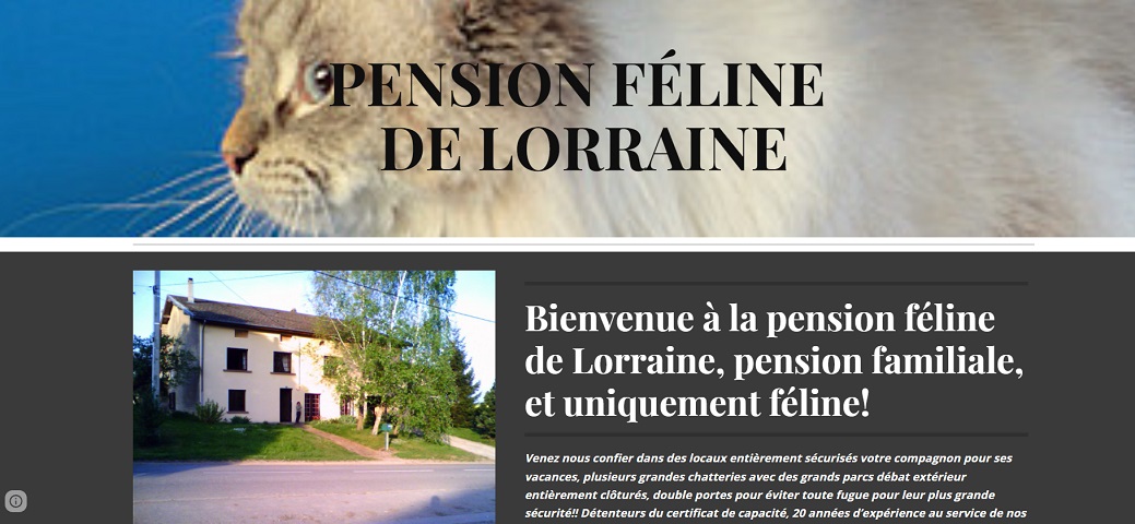 pension féline de Lorraine